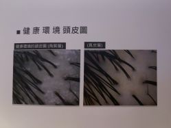 -木北造型