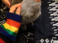 -平行世界·猫咖(首经贸店)