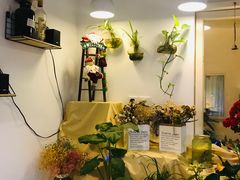 大堂-树咖啡tree coffee