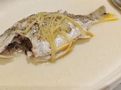 -花城苑广府菜(侨鑫店)