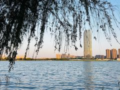 -高子水居
