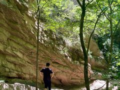 -大岭沟猕猴桃谷风景区