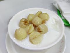 -义顺牛奶公司(板樟堂店)