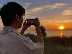 -合肥滨湖国家森林公园