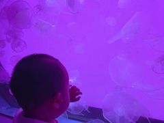 -沈阳海洋探索中心