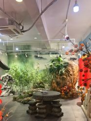 -星豆豆儿童摄影(南郊太白南路店)