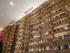 -深影国际影城(学院南路店CGS中国巨幕店)