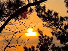 -帽儿山国家森林公园