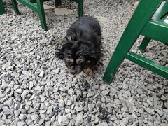 -云里小坐·小院里·团建·宴请·下午茶(三圣乡店)