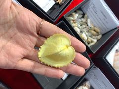 -摩登百货(岗顶店)