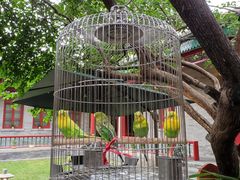 -上海老饭店(北京分店)