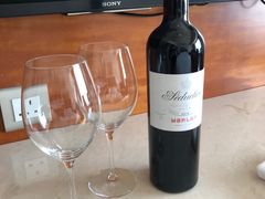 -香港尖沙咀凯悦酒店