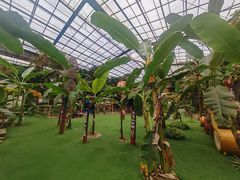 -呀路古热带植物园