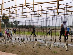 -武汉紫薇都市田园