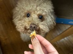 -evoojoo面包商店
