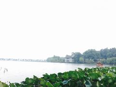 -西湖外事游船(花港观鱼码头)