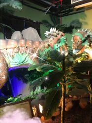 点击看大图 -恐龙探索乐园(磁器口店)