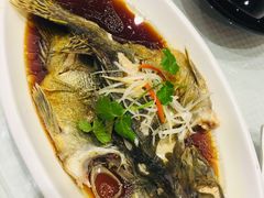 清蒸桂鱼-双井轩(双井店)