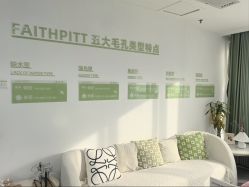 点击看大图 -凡碧诗毛孔清洁收细