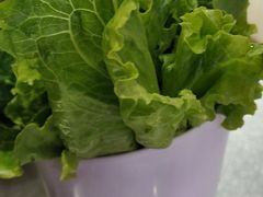 -古乐牛香·鲜牛肉牛杂火锅(新区店)