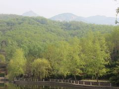 -鲁山国家森林公园