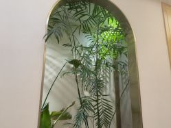 -雅曼妮spa美容养生