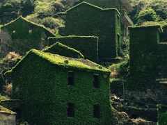 -枸杞岛