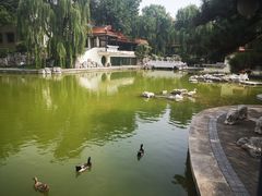 -舜耕山庄四时万和自助餐厅