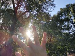 -哈尔滨文化公园