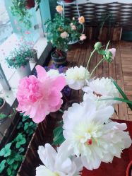 -Yvon yoga 瑜伽·精准体态管理中心