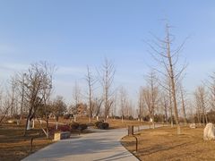 -汉长安城未央宫国家考古遗址公园