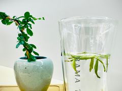 -八马茶业·茶馆茶室(罗湖万象城店)