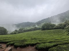 -敬亭山风景名胜区