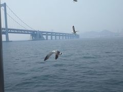 -星海湾跨海大桥