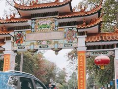-广州市流溪河国家森林公园