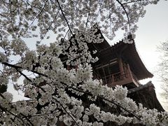 -西安青龙寺遗址景区