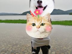 -东湖落雁景区