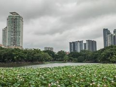 -荔湾湖公园