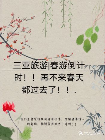 三亚旅游|春游倒计时！！再不来春天都过去了！