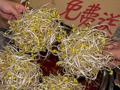 -邓莽子老火锅(鲁祖庙店)