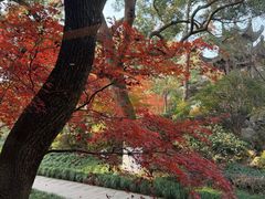 -浙江西子宾馆·瑶园咖啡厅