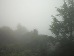 -东天目山风景区