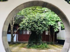 -上海醉白池公园