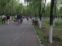 -东郊湿地公园