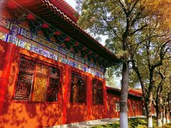 -开福禅寺