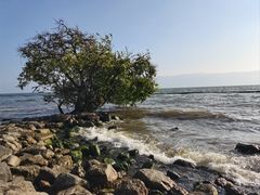 -大理洱海