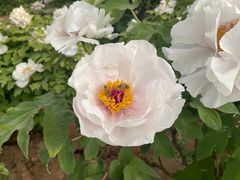 -陕西省西安植物园