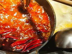 -川西坝子(老军营店)