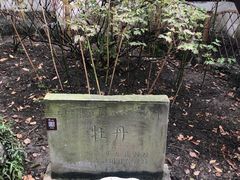 -上海醉白池公园