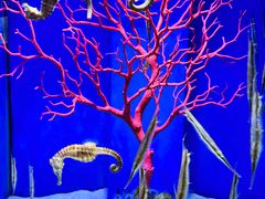 -多彩贵州城极地海洋世界